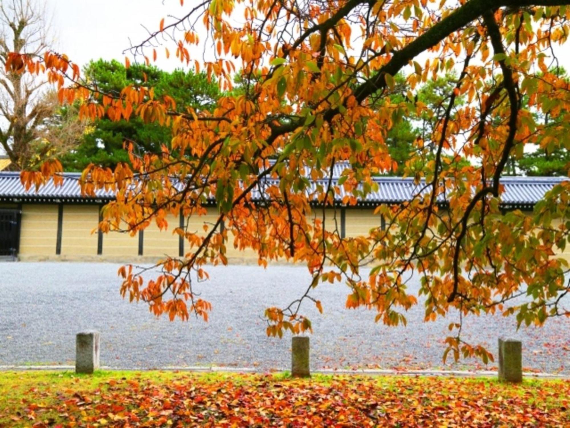 La'Gent Hotel Kyoto Nijo Luaran gambar