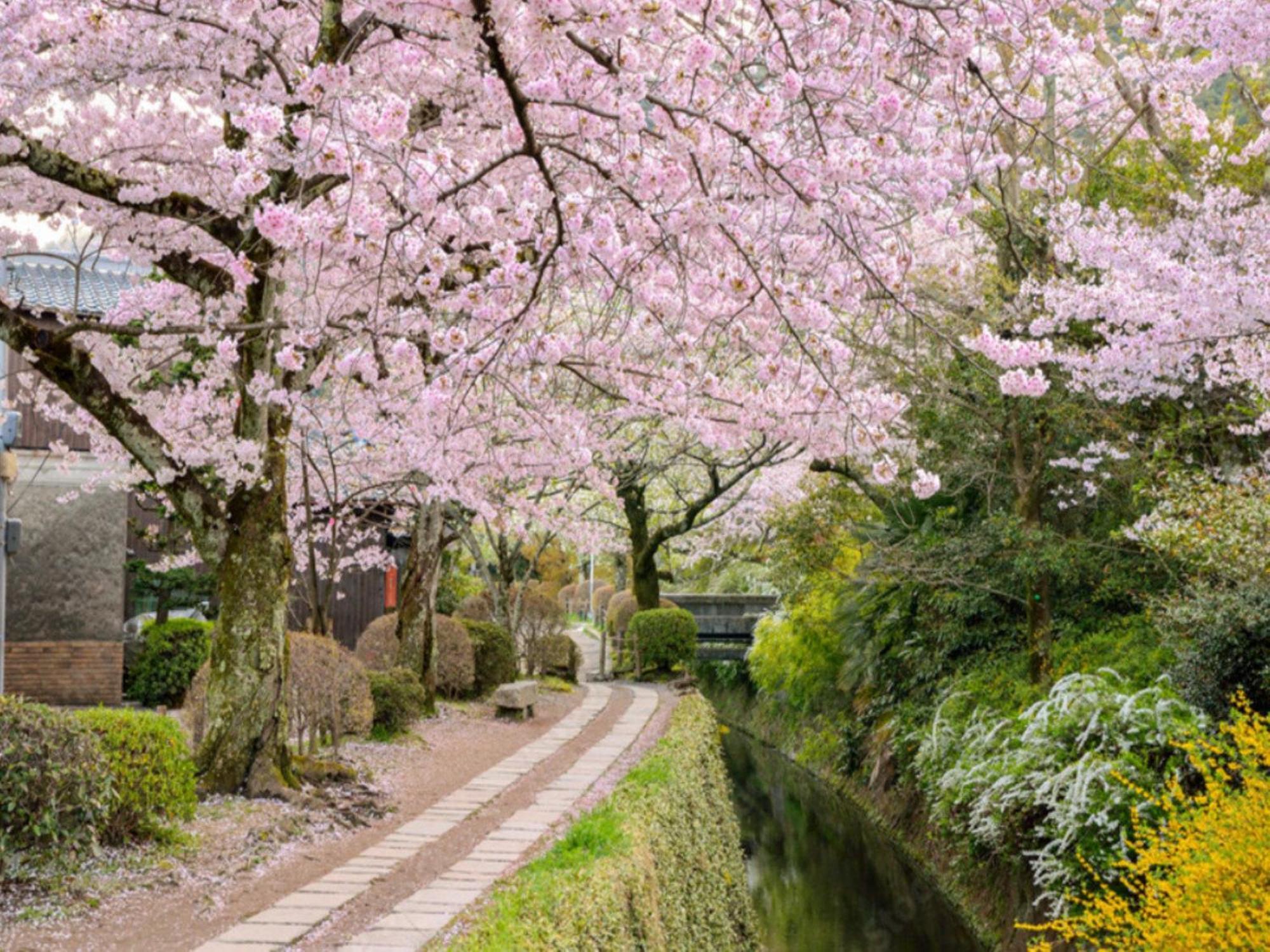 La'Gent Hotel Kyoto Nijo Luaran gambar